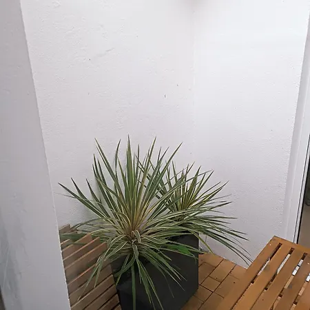 Maison Spacieuse Idealement Placee Bord De * 波尔尼克